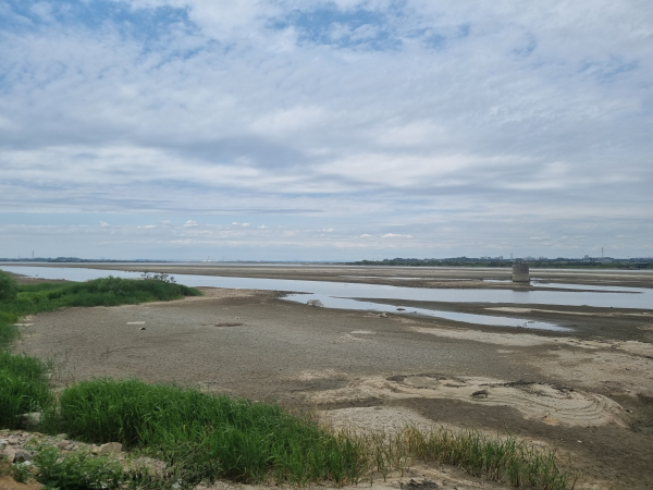 바닥을 드러낸 삽교호 전경