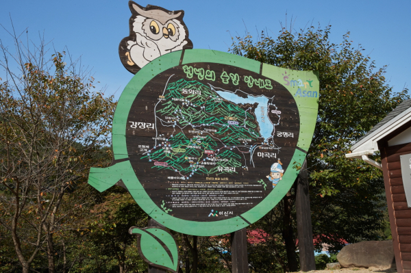 천년의 숲길 사진