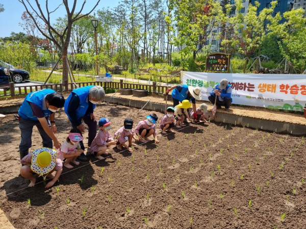 나성유치원 원아들이 생태 텃논에서 모줄을 대며 전통 모내기 체험행사를 하고 있다.