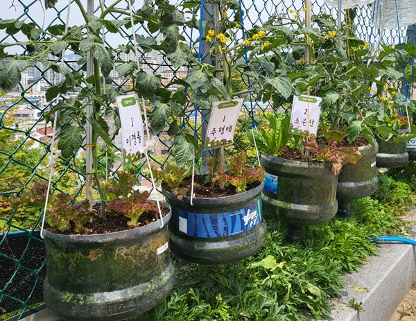 텃밭의 생명공동체 프로젝트