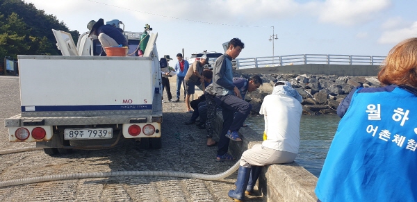 수산종자 방류사업 모습