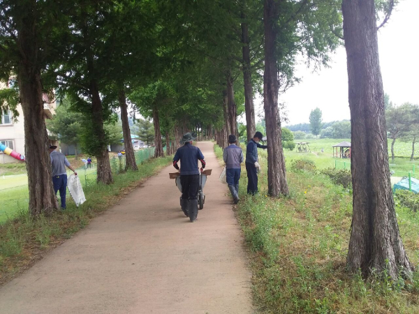 정안천 생태공원 방제 작업