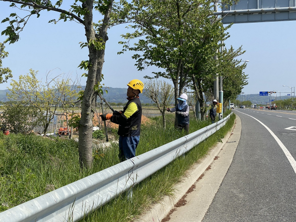 대해로 가로수 전정 작업