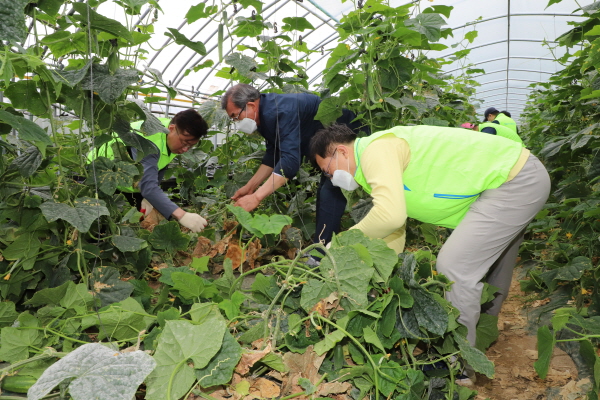 이종욱 충남세종농협	본부장(왼쪽), 소진담 부여농협조합장(가운데), 이승훈 농협부여군지부장(오른쪽)과 임직원들이 부여군 소재 시설하우스 농가를 찾아 일손돕기 봉사활동 모습