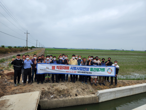 벼 직파재배 순회평가회 개최 사진