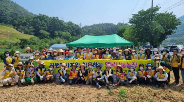 21일 금동 행복나눔농장에서 진행한 (사)중구자원봉사센터 감자수확 자원봉사활동 모습
