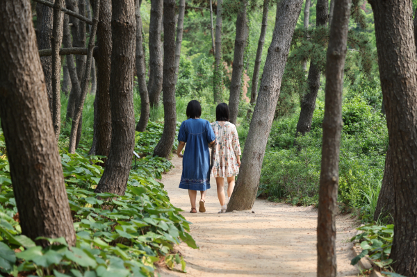 숲길을 걷는 탐방객
