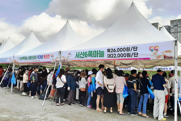 서산6쪽마늘, 팔봉산감자 직거래 특판전 모습