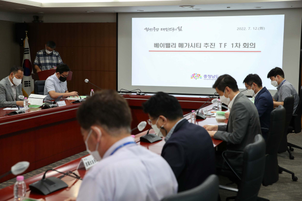 충남도 베이벨리 메가시티 추진 전담팀 회의/충남도 제공