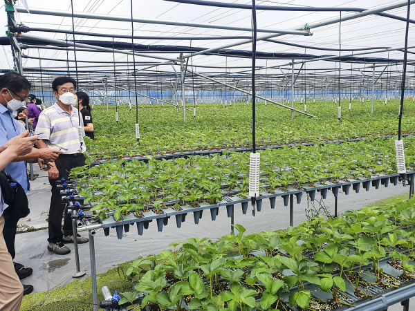 서산시 농업인대학 딸기 교육과정
