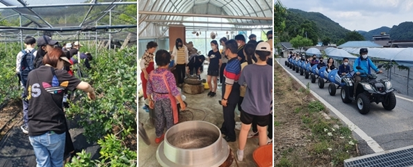 성덕중이 영동 모치마을 체험을 통해 블루베리를 따고(왼쪽) 순두부를 만들고(가운데) 깡통열차를 탔다.