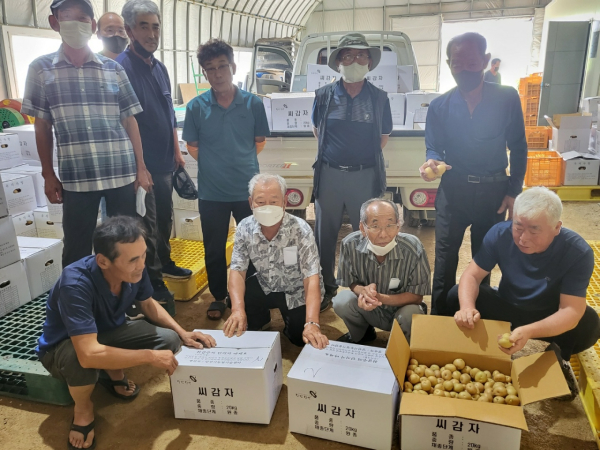 신청 농가들이 추백 감자를 살펴보고 있는 사진
