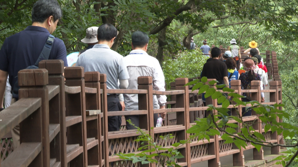 국립예산치유의 숲 걷기행사 모습