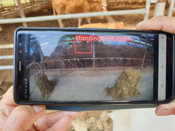 CCTV 연계 영상분석 장치에서 전송된 승가 감지 알림