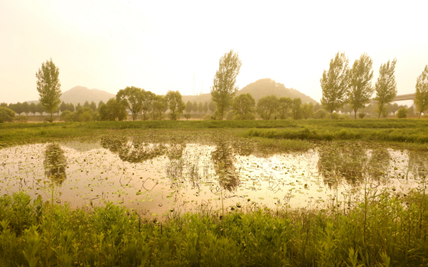 정안천변 자료사진