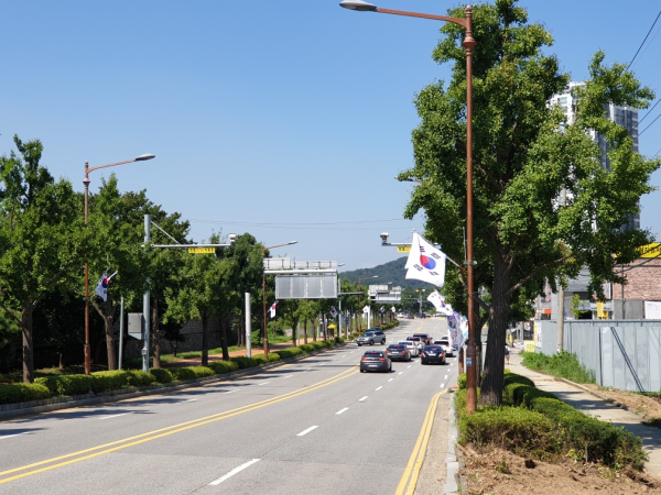 동 지역 태극기 게양 장면