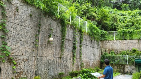 산림분야 피해 우려 지역 점검 장면