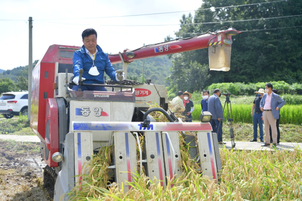 광시면 서초정리 주우선 씨 논(6700㎡)에서 최재구 군수 관내 첫 벼베기 참여 모습