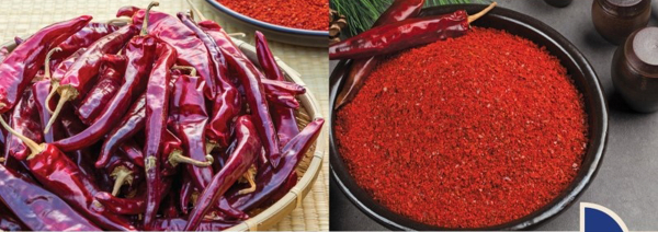 2022 축제장 고추 거래 가격 결정