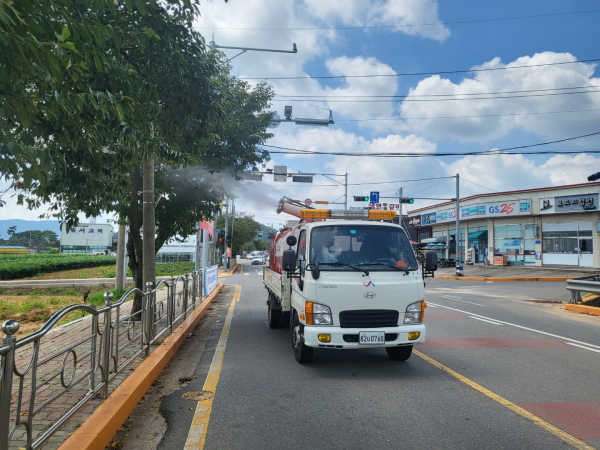 서산시가 가로수 미국흰불나방 방제를 하고 있다