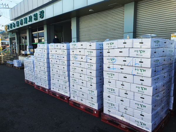 대형업체 납품 사진