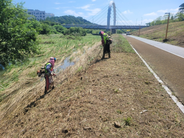 제천 예초작업 모습