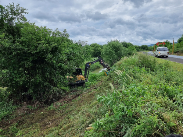 제천 유해수목제거 모습