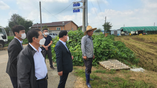 서산 첫 벼베기 모습