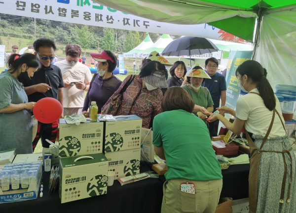 청양 산채 가공상품 청양별미