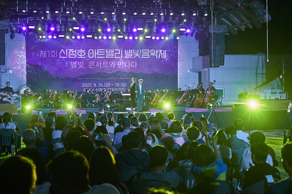 제1회 신정호 아트밸리 별빛음악제 장면
