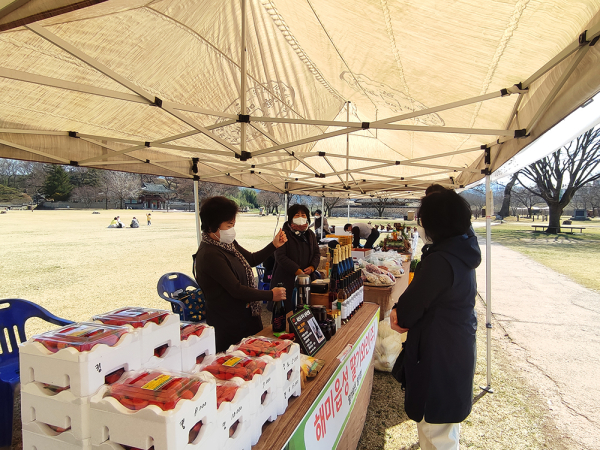 상반기 농특산물 정례 직거래 장터 운영 사진