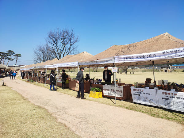 상반기 농특산물 정례 직거래 장터 운영 사진