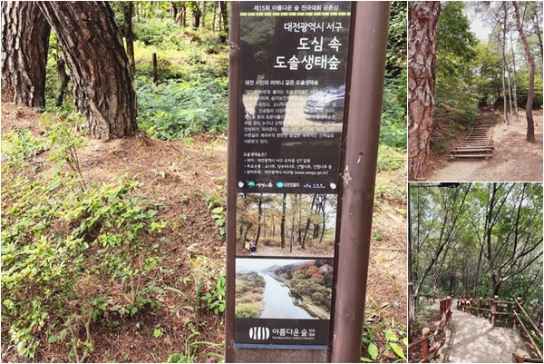 대전 도솔산 산책길 모습.