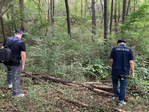 특별단속 진행 장면/아산시 제공