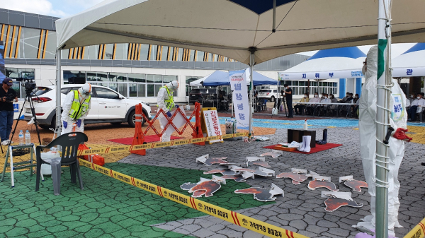 조류인플루엔자 대비 가상방역훈련 진행 모습