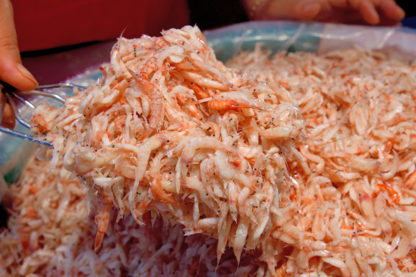 광천토굴새우젓 (육젓)