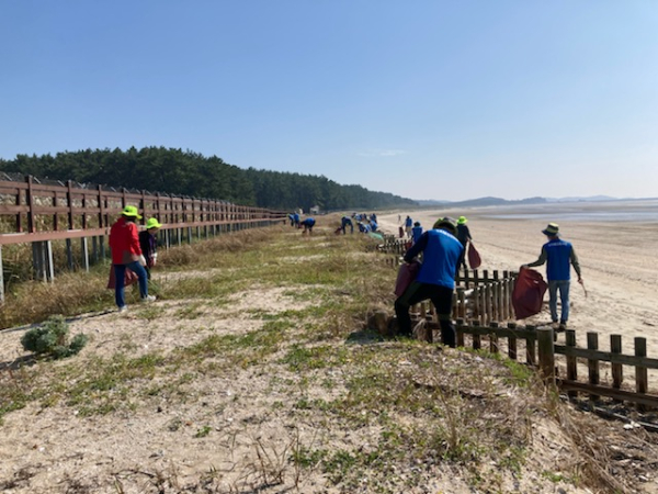 소황사구 해안경관을 훼손하는 해양쓰레기 수거