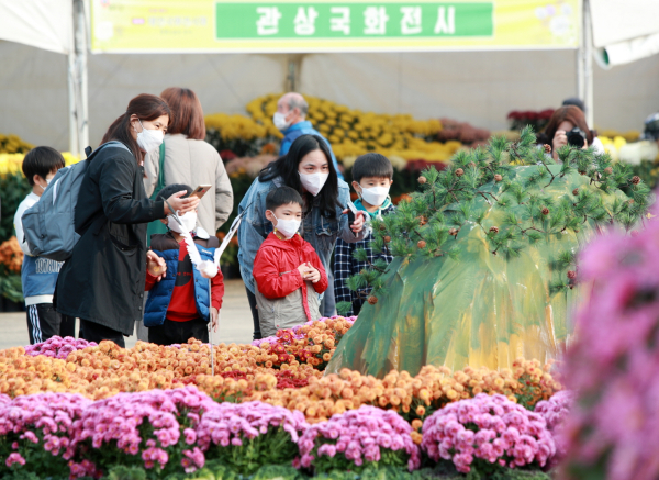 지난해 원북면 옥파 이종일 생가지에서 열린 제9회 태안 국화축제(전시회) 모습.