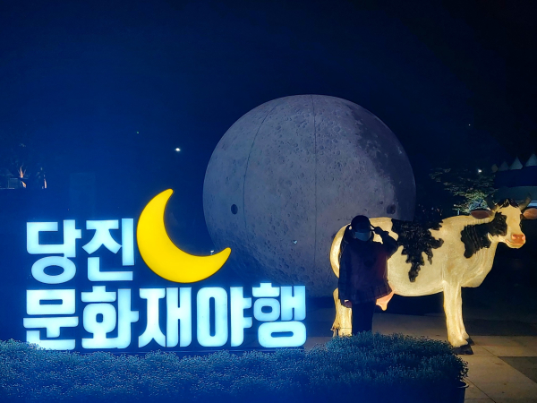 문화재 활용사업_문화재야행