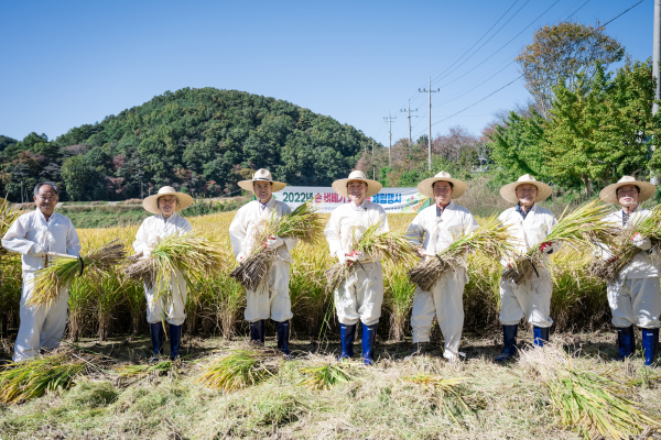 농촌지도자 청양군연합회 ‘손 벼 베기’ 체험행사