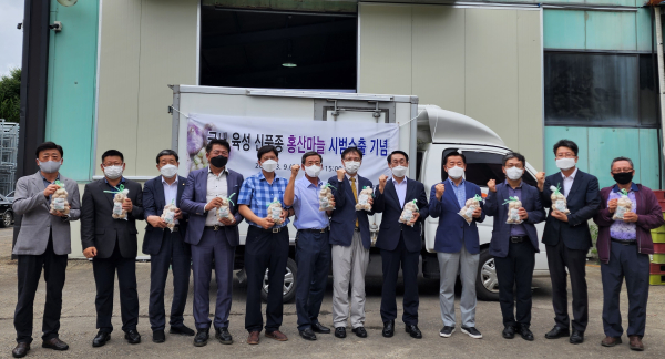 홍성마늘,지난 8월 1차 출하식 모습