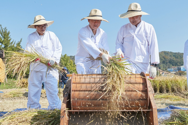 (왼쪽부터) 김정규 농업기술센터소장, 박 시장, 이전행 배방농협조합장이 전통농기구 호롱이로 탈곡하는 장면