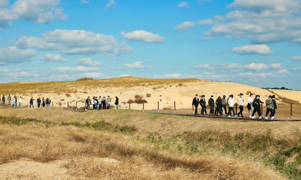 지난해 사구축제 모습(21. 11. 13.).