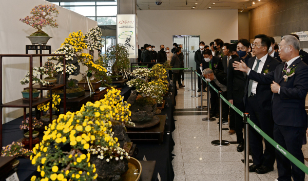 국화경진대회 작품 전시 현장 * 한국농수산식품유통공사 김춘진 사장(우측 2번째), (사)한국화훼단체협의회 임영호 회장(우측 1번째)
