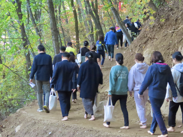 25일 경북 영주시 봉현면 국립산림치유원 맨발치유숲길에서 참석자들이 맨발 걷기 행사에 참여하고 있다.