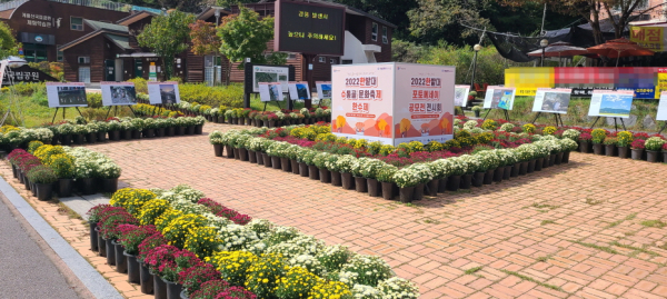 한밭대학교가 수통골 만남의 광장에 마련한 한밭대 포토에세이 공모전 수상작과 국화 전시회 모습