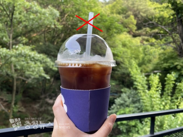 환경부가 지난해 12월 개정된 ‘자원재활용법 시행규칙’에 따라 일회용품 규제 품목을 확대하면서 일회용 빨대, 젓는 막대 등을 사용할 수 없게 됐다.