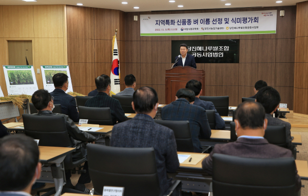 당진시 신품종 벼 식미평가회 개최 모습