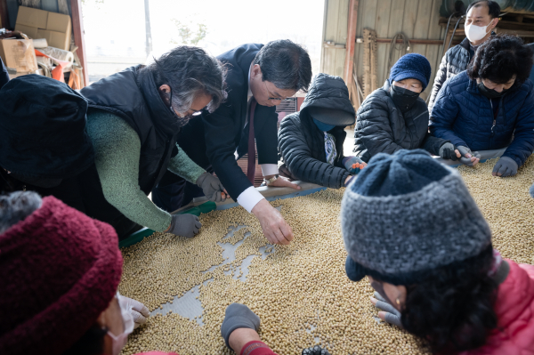 김돈곤 청양군수 ‘칠갑산 콩 생산단지’ 수확 현장 방문