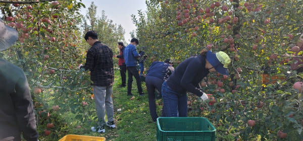 재무과 일손돕기 모습